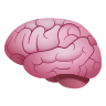 Top Image Braim